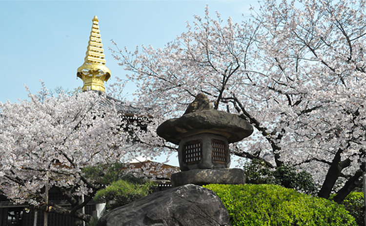 一心寺の活動